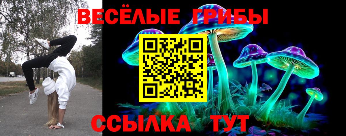 Холмск  Галлюциногенные грибы мицелий  Вход с VPN  купить наркотик  Псилоцибиновые грибы прущие грибы 